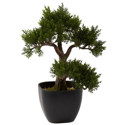 Nearly Natural 15-in Cedar Bonsai